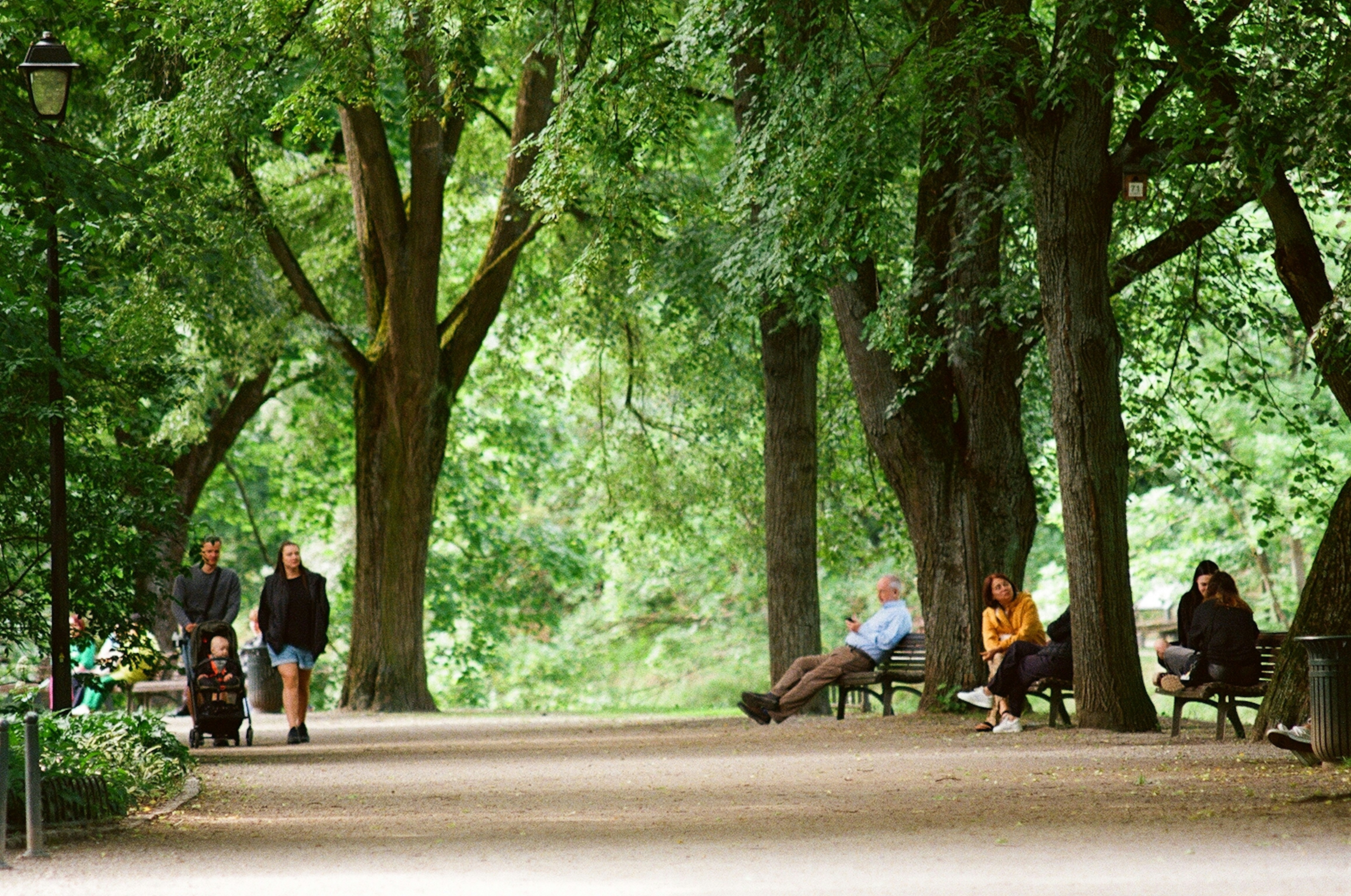 Path in a Park with people walking